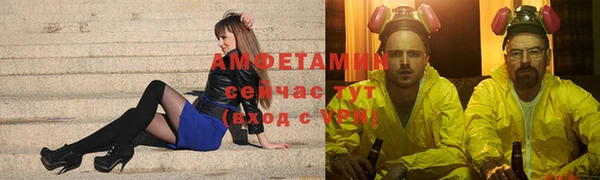 ECSTASY Лагань