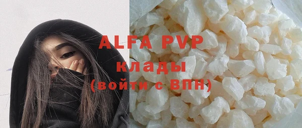 индика Ладушкин