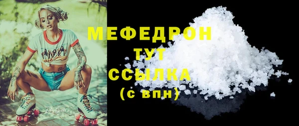 индика Ладушкин