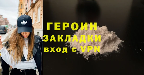 индика Ладушкин
