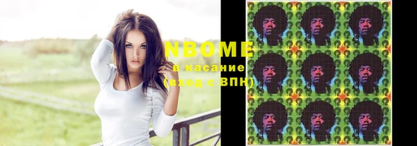 сатива Лабытнанги