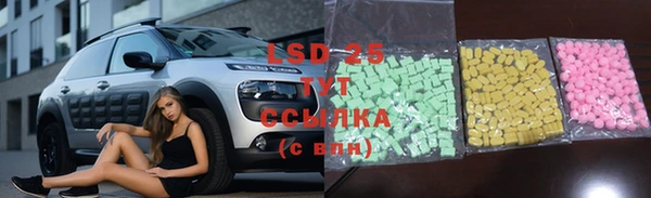 индика Ладушкин