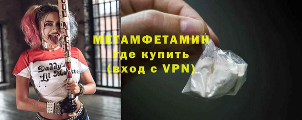 индика Ладушкин