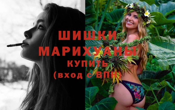 индика Ладушкин