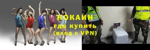 твердый Кукмор