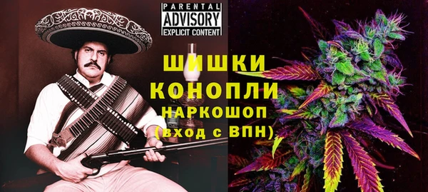 ECSTASY Лагань