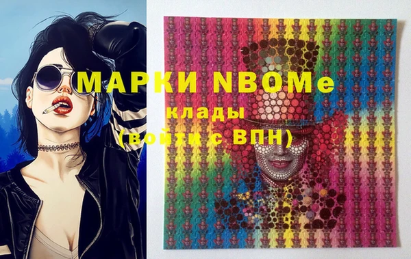индика Ладушкин