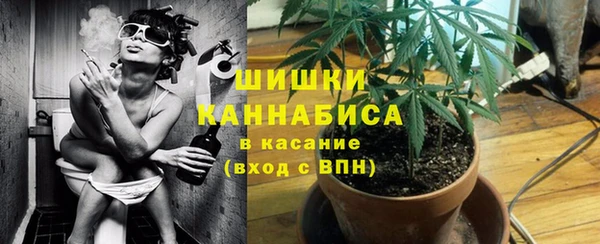 сатива Лабытнанги