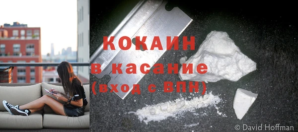 сатива Лабытнанги