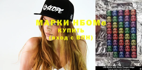 индика Ладушкин