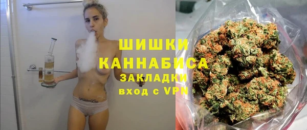 сатива Лабытнанги