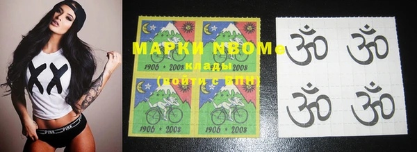 индика Ладушкин