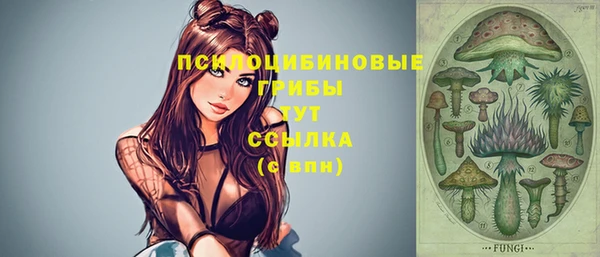 ECSTASY Лагань